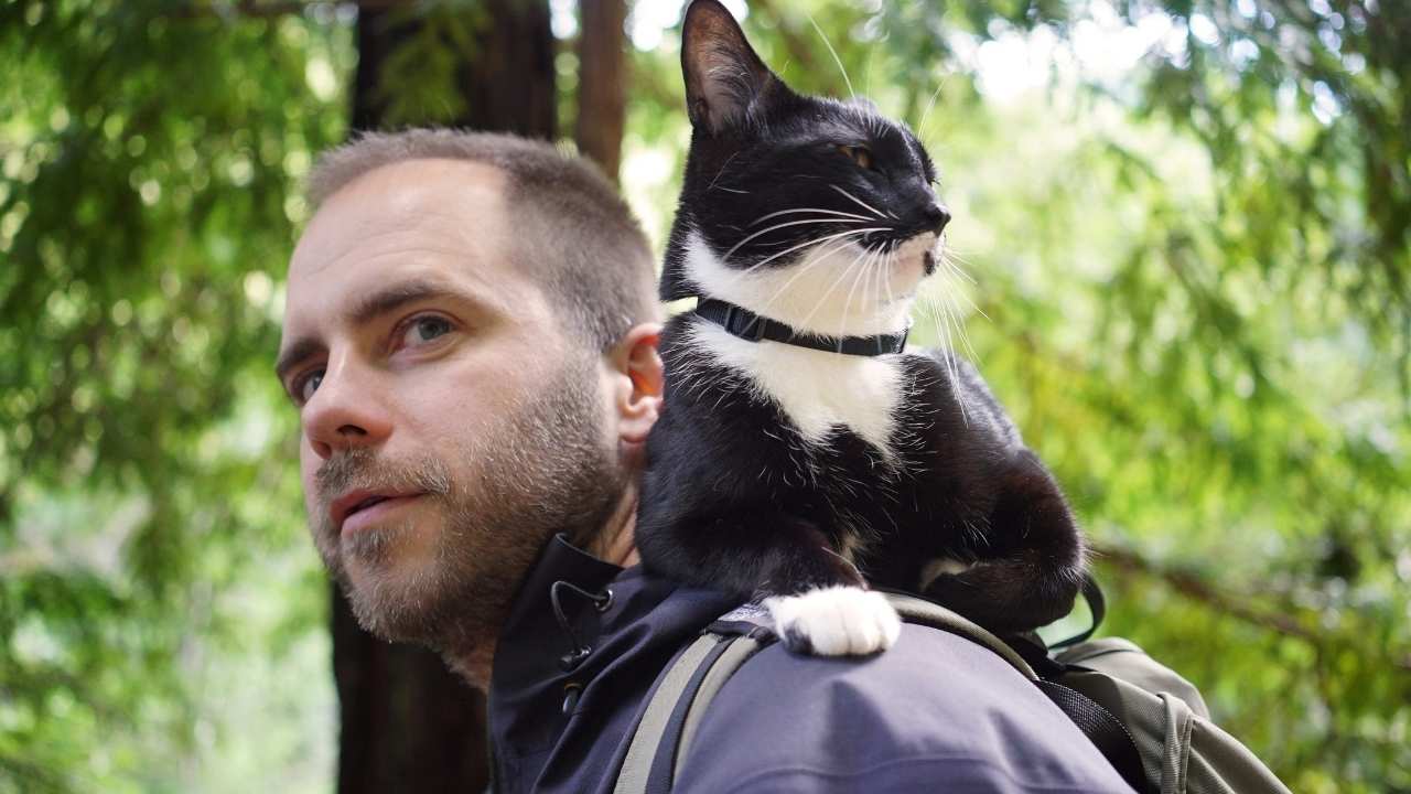 man with a cat on his shoulder